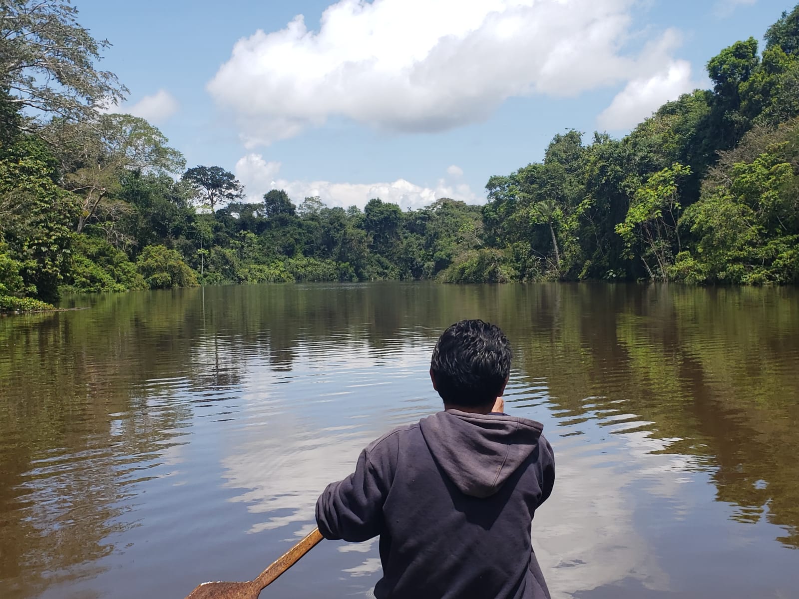 A man rows in a boat down a river surrounded by rainforest.