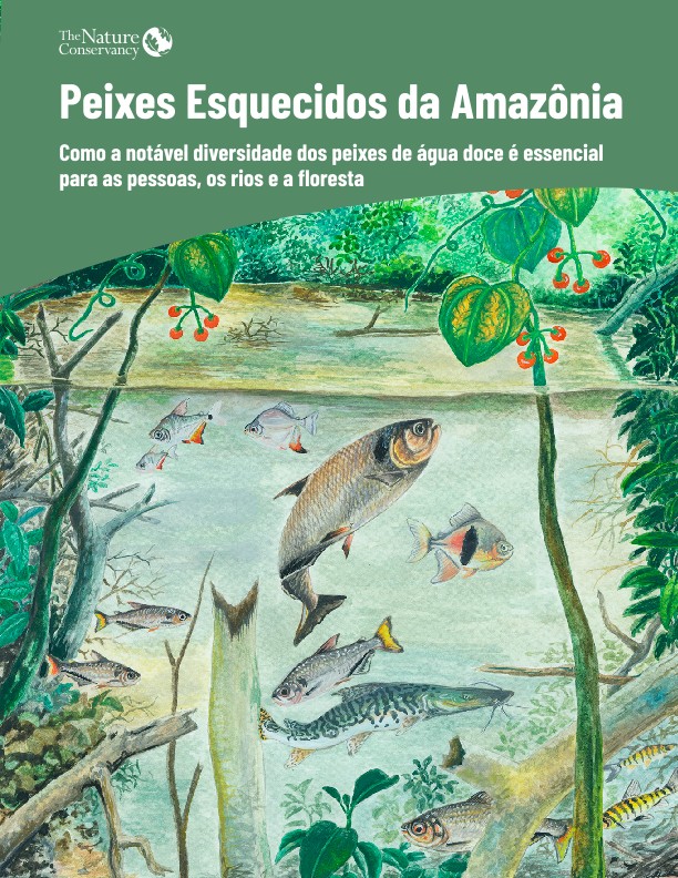 Capa do relatório, Peixes Esquecidos da Amazônia.