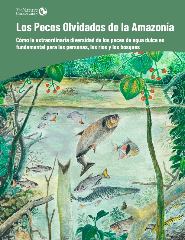 Portada del informe, Los peces olvidados de la Amazonía.